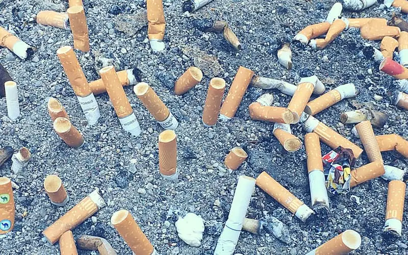 cigarette butts on the ground