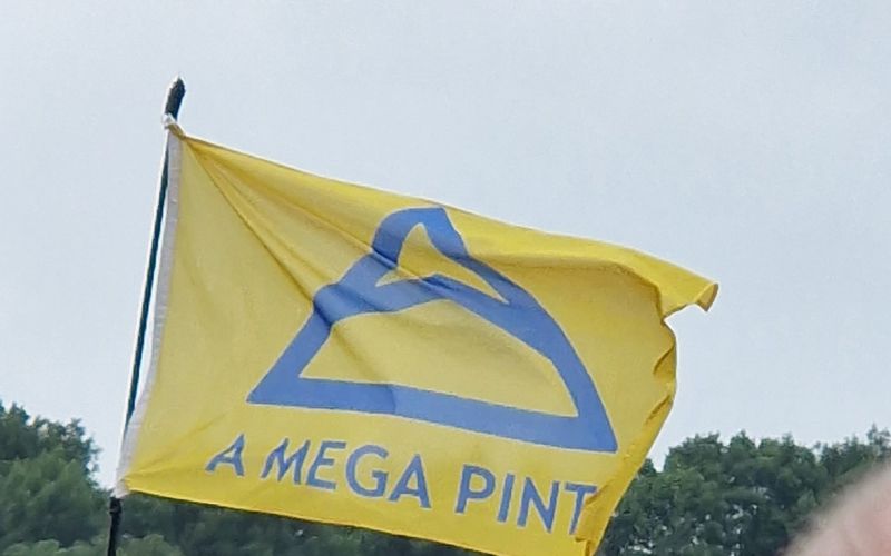 Flag at Glastonbury festival