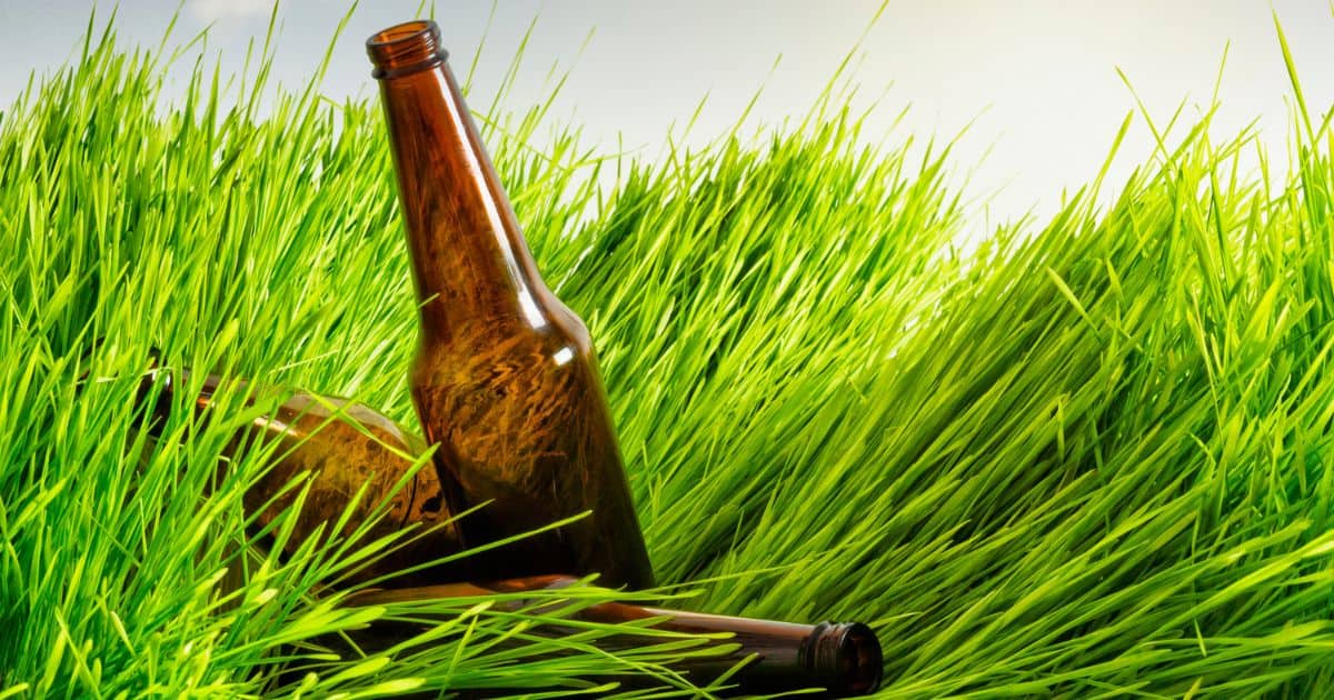 Can You Bring Glass Bottles To Glastonbury Festival? Festival Source