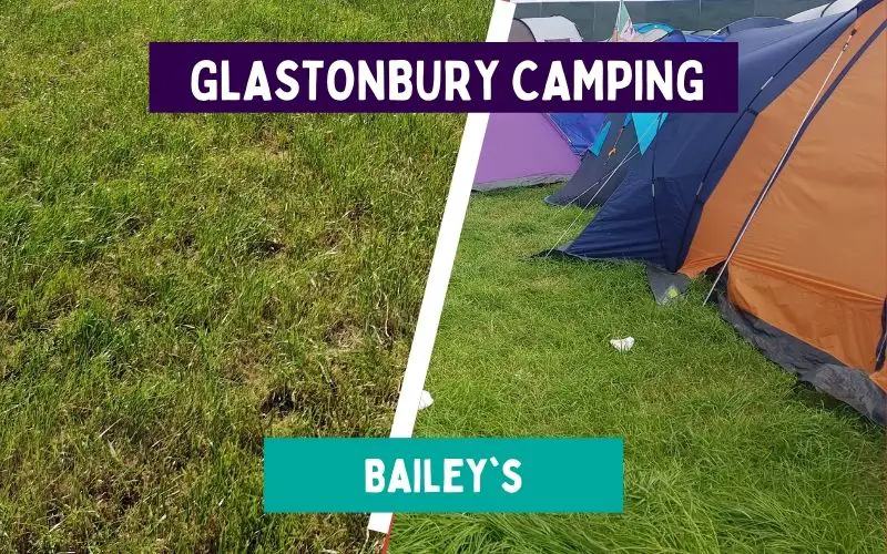 Bailey's Campsite Glastonbury