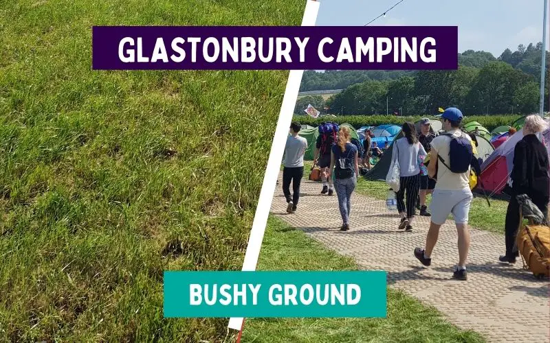 Bushy Ground Campsite at Glastonbury Festival