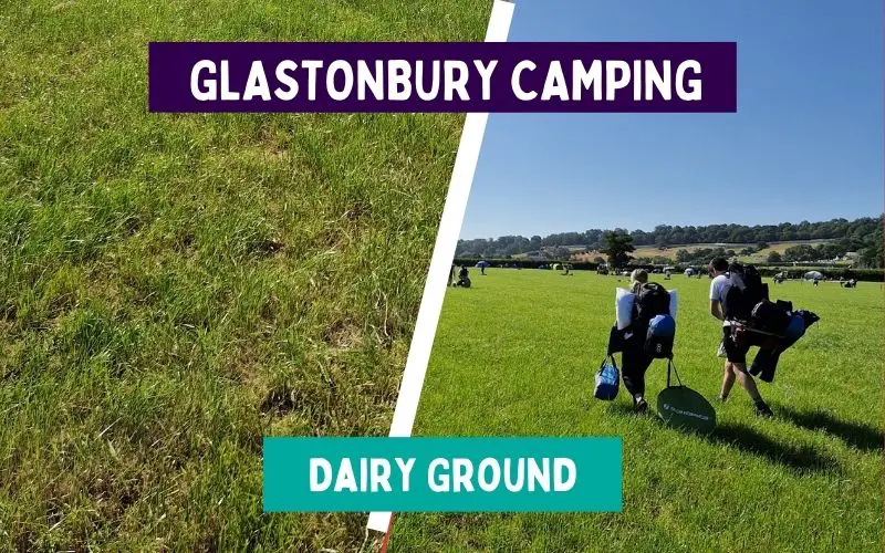 Dairy Ground Glastonbury